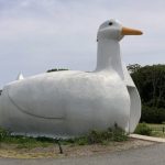Long Island's Big Duck