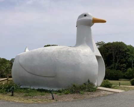 Long Island's Big Duck