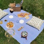 shop and cook: picnic