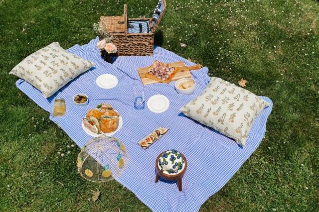 shop and cook: picnic
