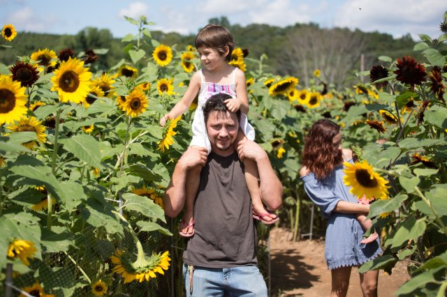 lyman sunflower festival