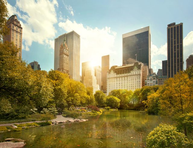 Central Park and Midtown Manhattan, NYC