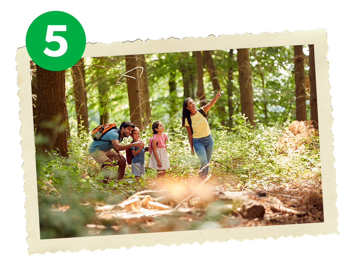 Family in a forest