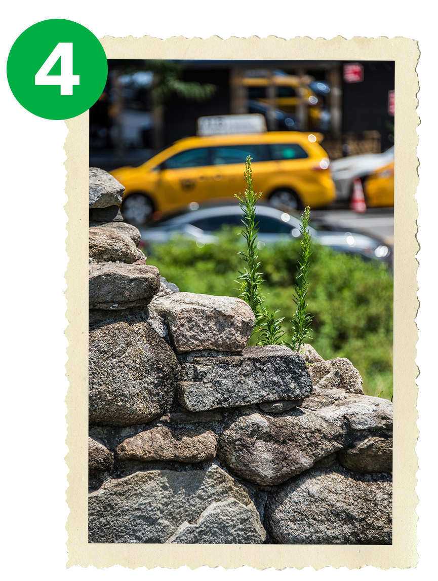 Irish Hunger Memorial