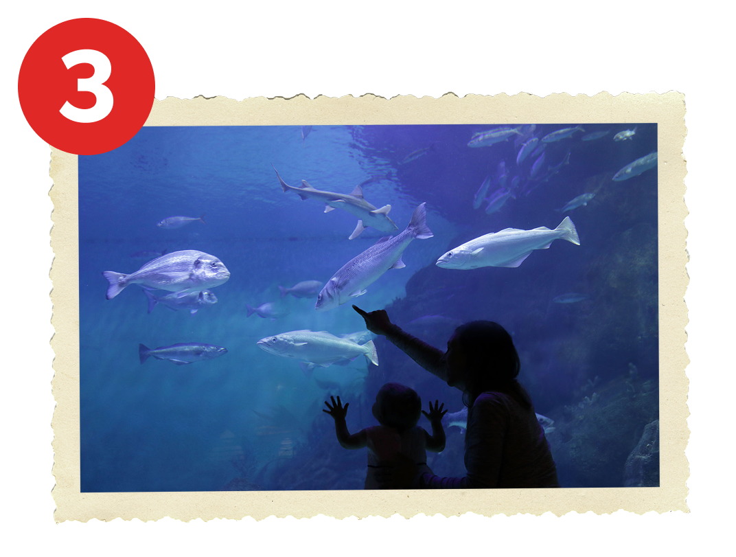 People pointing at fish in an aquarium