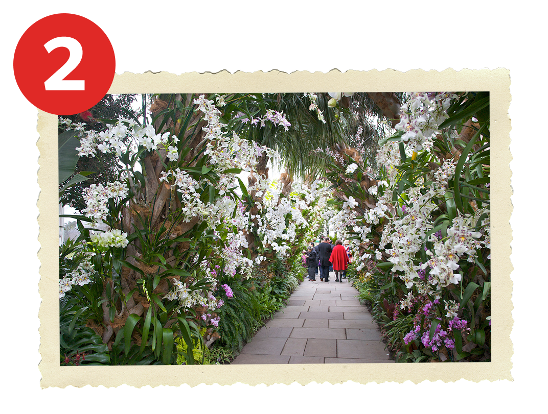 Photo of path through flower garden