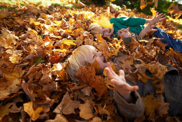 kids in leaves