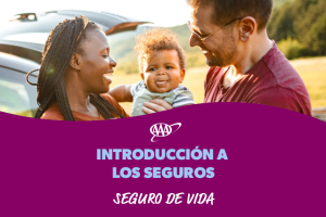 Life Insurance Spanish Cover Image
