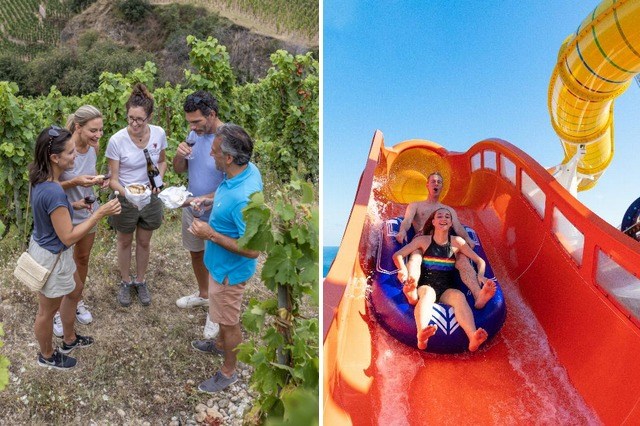 vineyard_group_vs_blaster_comparison_v2